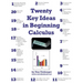 Twenty Key Ideas in Beginning Calculus