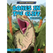 Bones in the Cliff: T. Rex Discovery