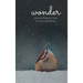 Wonder