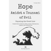 Hope Amidst a Tsunami of Evil: Exposing the Great Lies