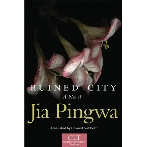 Ruined City, Volume 5