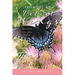 Promises on Velvet Wings: Poems of Faith, Family, Friends, and Fun