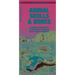 Animal Skulls & Bones: A Laminated Folding Guide to the Bones of Common North American Animals
