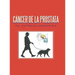 Cáncer De La Próstata