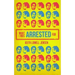 What I Was Arrested For