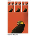 Ordinary Pictures