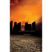 Arena Two (Book #2 of the Survival Trilogy)