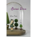 Bonsai Love