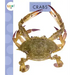 Crabs