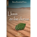 Lluvia en las dunas