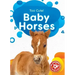 Baby Horses