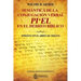 Semántica de la Conjugación Verbal: Pi'el En El Hebreo Bíblico: Ensayo En El Libro de Jueces