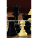 Modern Chess Openings