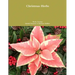 Christmas Herbs
