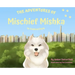 The Adventured of Mischief Mishka in Central Park: in Central Park