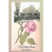 The Paper Rose