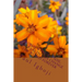 World Without Soil: Soil Wealth Can Change The World Forever