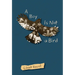 A Boy Is Not a Bird