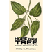 Hope for a Tree: Artistic Afterlives of Job
