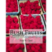 Bush Fruits: A Monograph of Raspberries, Blackberries, Dewberries, Currants, Gooseberries, etc.