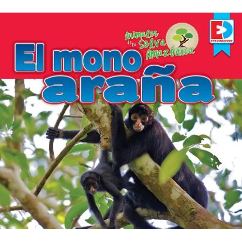 Animales de la Selva Amazónica -- El Mono Araña