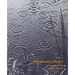 Introductory Physics: A Model Approach