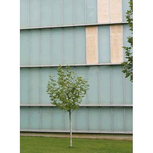 A Kassen: Dimensions Variable