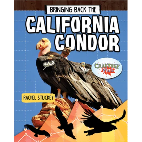 Bringing Back the California Condor