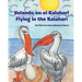 Volando en el Kalahari - Flying in the Kalahari