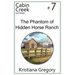 The Phantom of Hidden Horse Ranch