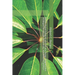 Nature-Based Solutions and Circular Design: Regenerative Strategies for Climate, Biodiversity, and Resilient Systems
