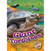 Giant Tortoises