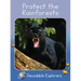 Protect the Rainforests: Skills Set 8