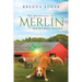 The Adventures of Merlin the Pit Bull Wizard