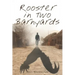 Rooster in Two Barnyards
