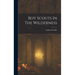 Boy Scouts In The Wilderness
