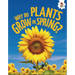 Why Do Plants Grow in Spring?