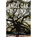The Angel Oak Story