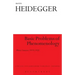 Basic Problems of Phenomenology: Winter Semester 1919/1920