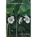 The Mayapple Forest
