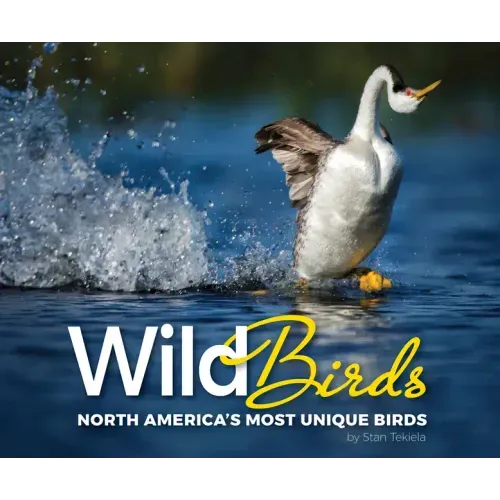 Wild Birds: North America's Most Unique Birds
