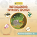Infographics: Invasive Species