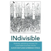 INdivisible: Radically rethinking inclusion for sustainable business results