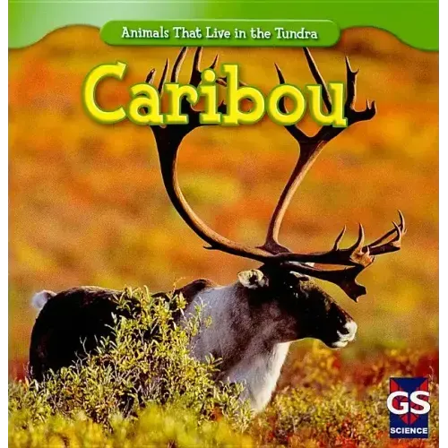 Caribou