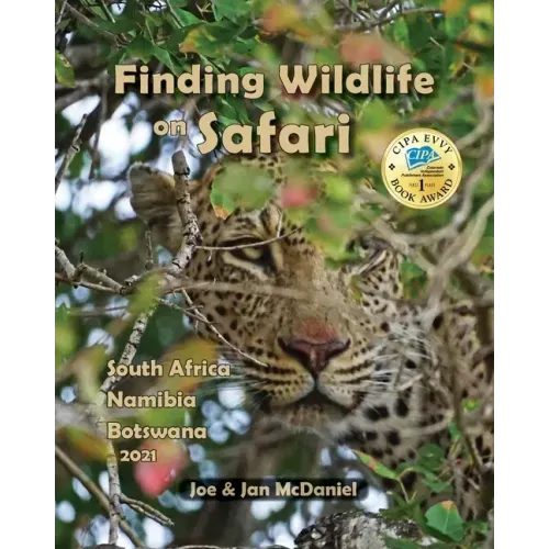 Finding Wildlife On Safari
