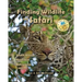 Finding Wildlife On Safari