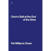Orion's Belt at the End of the Drive