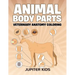 Animal Body Parts: Veterinary Anatomy Coloring