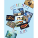 Envision Boards