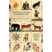 Cuentos Folkloricos Latinoamericanos: Fábulas de Las Tradiciones Hispanas E Indígenas / Latin American Folktales: Stories from Hispanic and Indian Tra